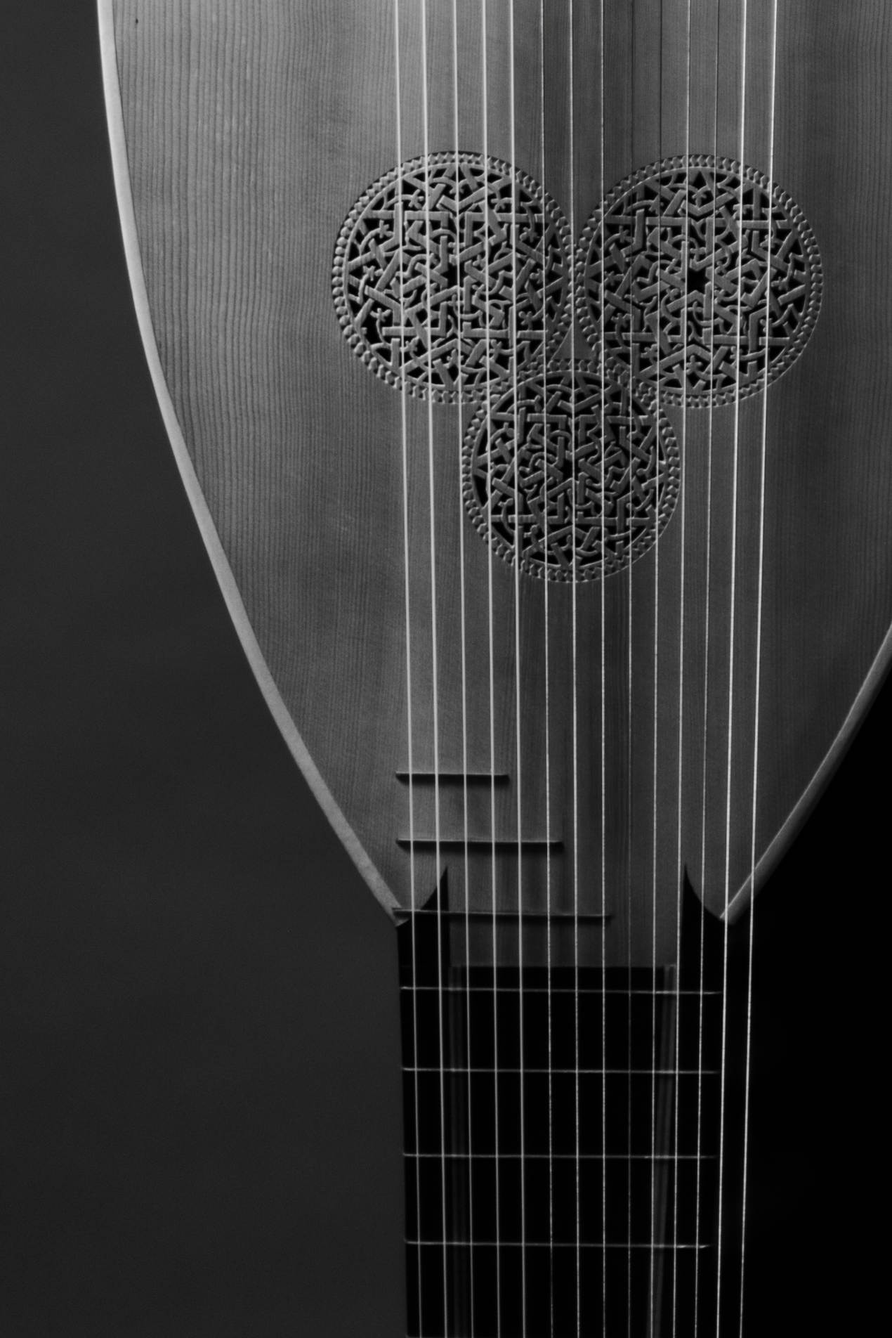 Detail of a lute, in black and white
